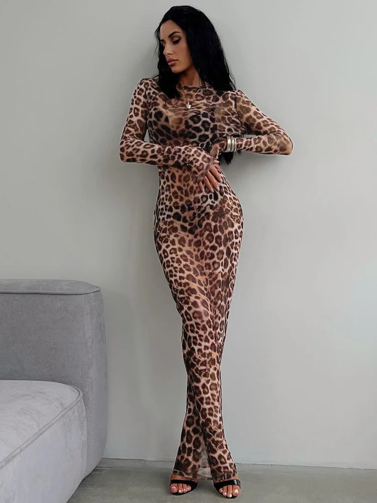 Wild Elegance Mesh Dress