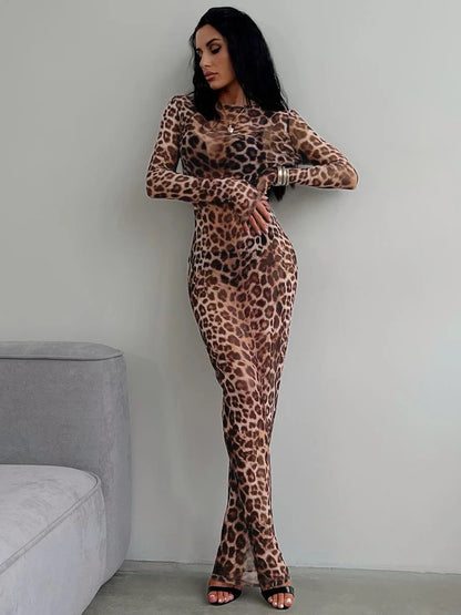 Wild Elegance Mesh Dress