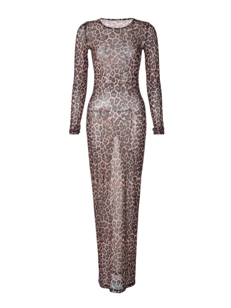 Wild Elegance Mesh Dress