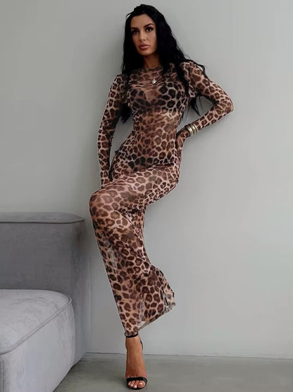 Wild Elegance Mesh Dress